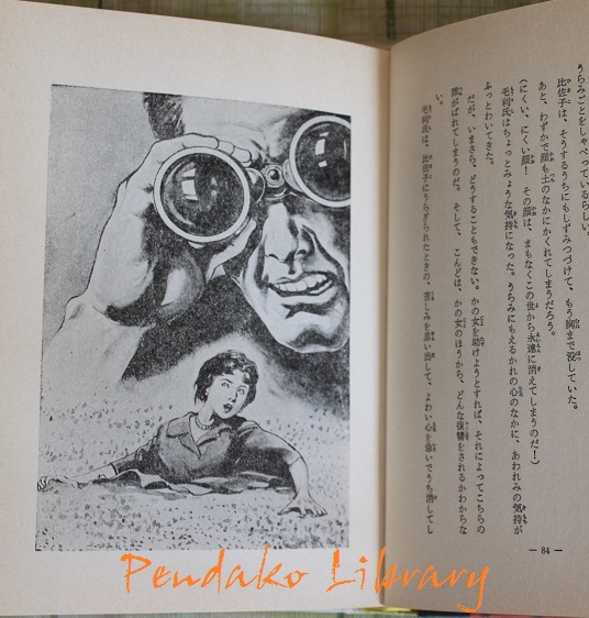 私が最初に出会った本のあれこれ＝その３: 心地よく秘密めいた書棚～